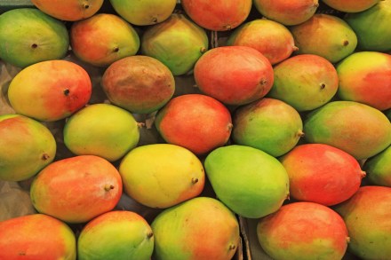 Image: mangos