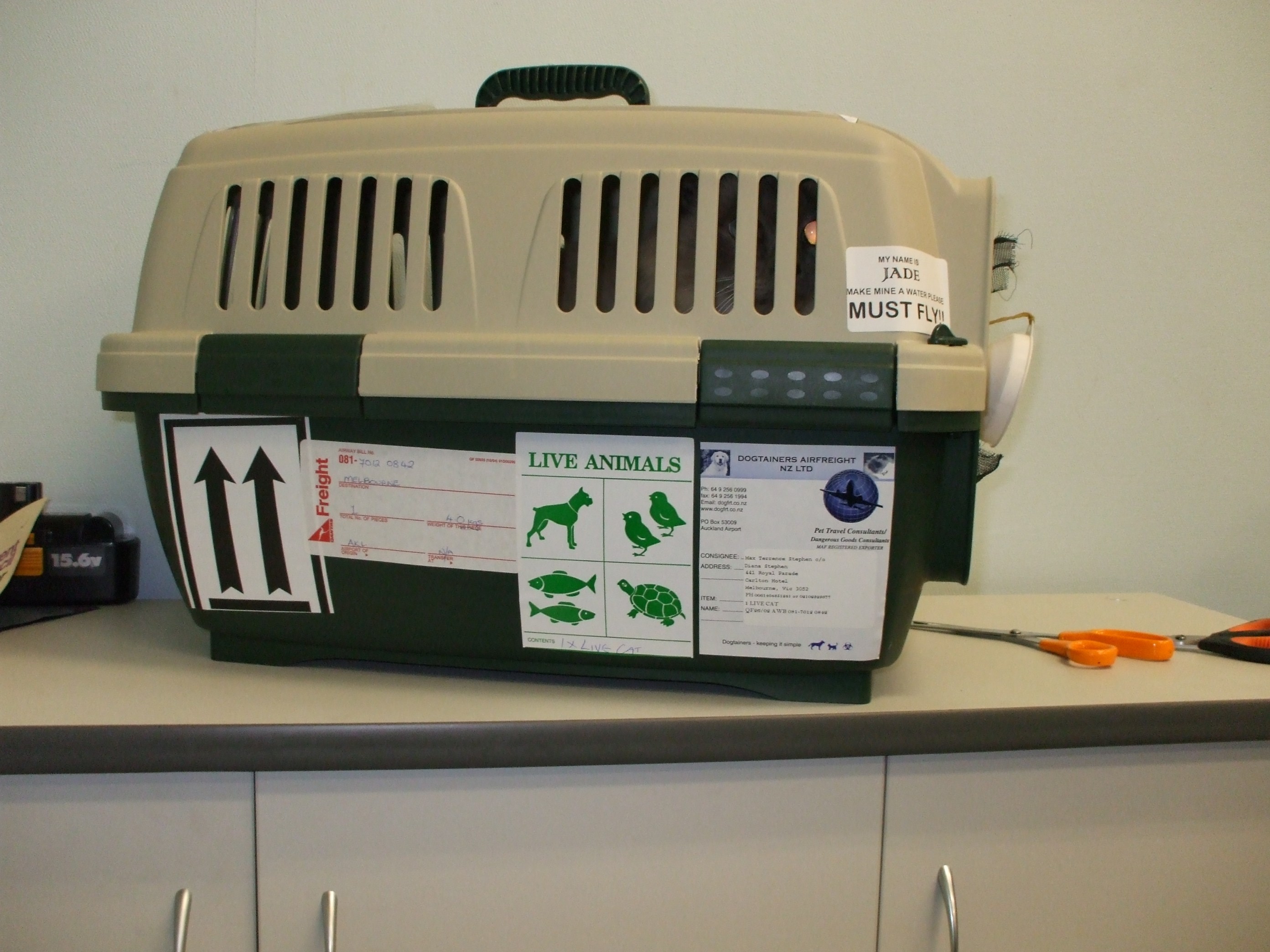 dogtainers_pet_transport_clipper_cat_cage_plastic_travel_crate_labelled.jpg